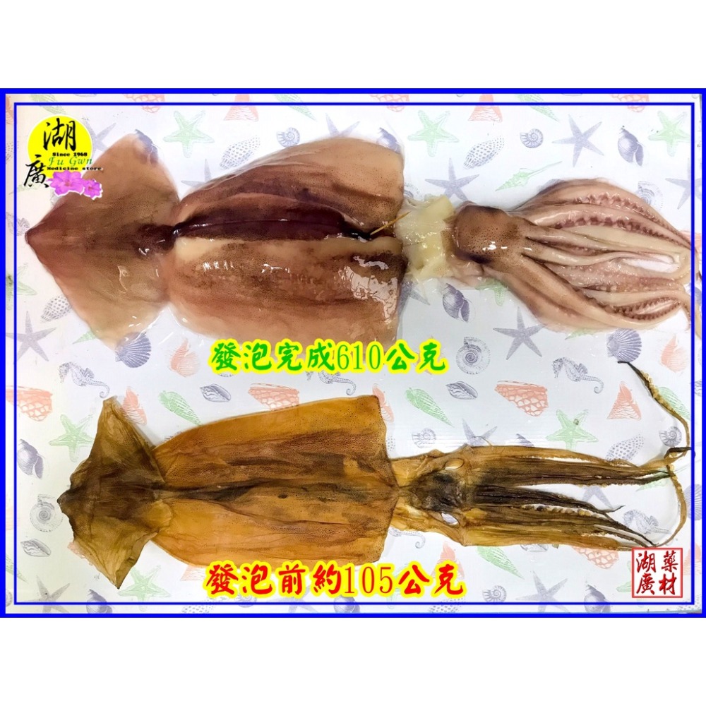 魷魚  魷魚干  阿根廷大魷魚【迪化街門市火速出貨】-細節圖5