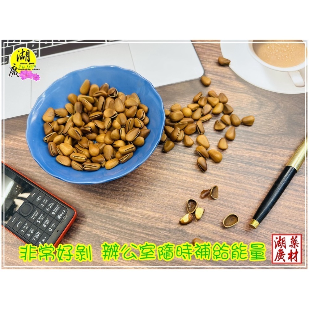 松子 帶殼松子 烤松子 營養豐富 大顆粒 好撥 最佳點心零食【湖廣-火速出貨】-細節圖5