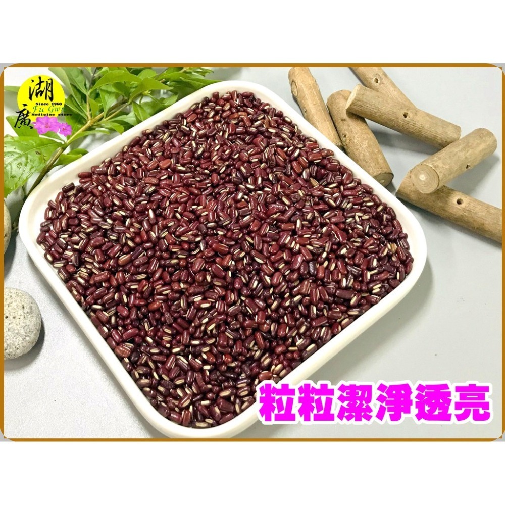 赤小豆 台灣產 紅豆水 原生種紅豆 –【啟陞食品】–【湖廣藥材】-【火速出貨】迪化街一段74號【02-25560870】-細節圖2