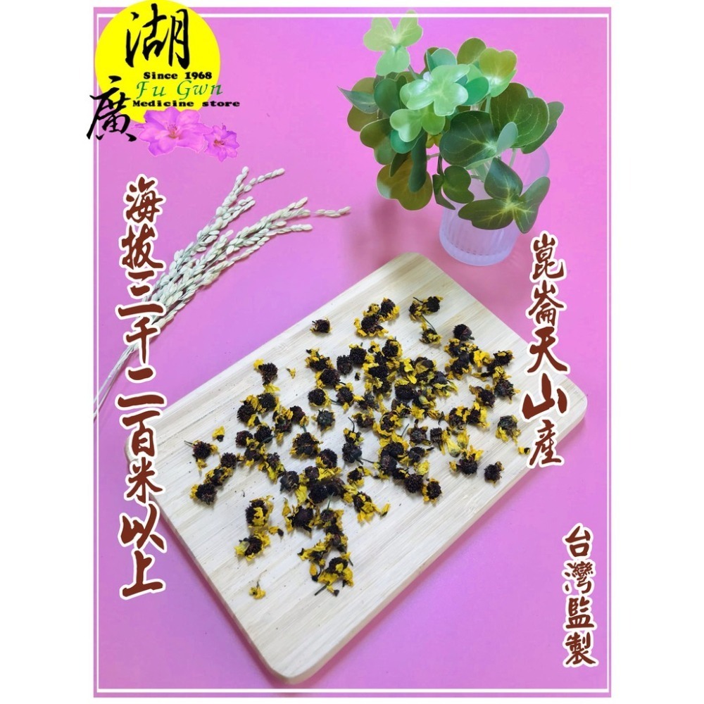 雪菊 雪菊花 天山雪菊  黃金雪菊 【迪化街門市火速出貨】-細節圖4