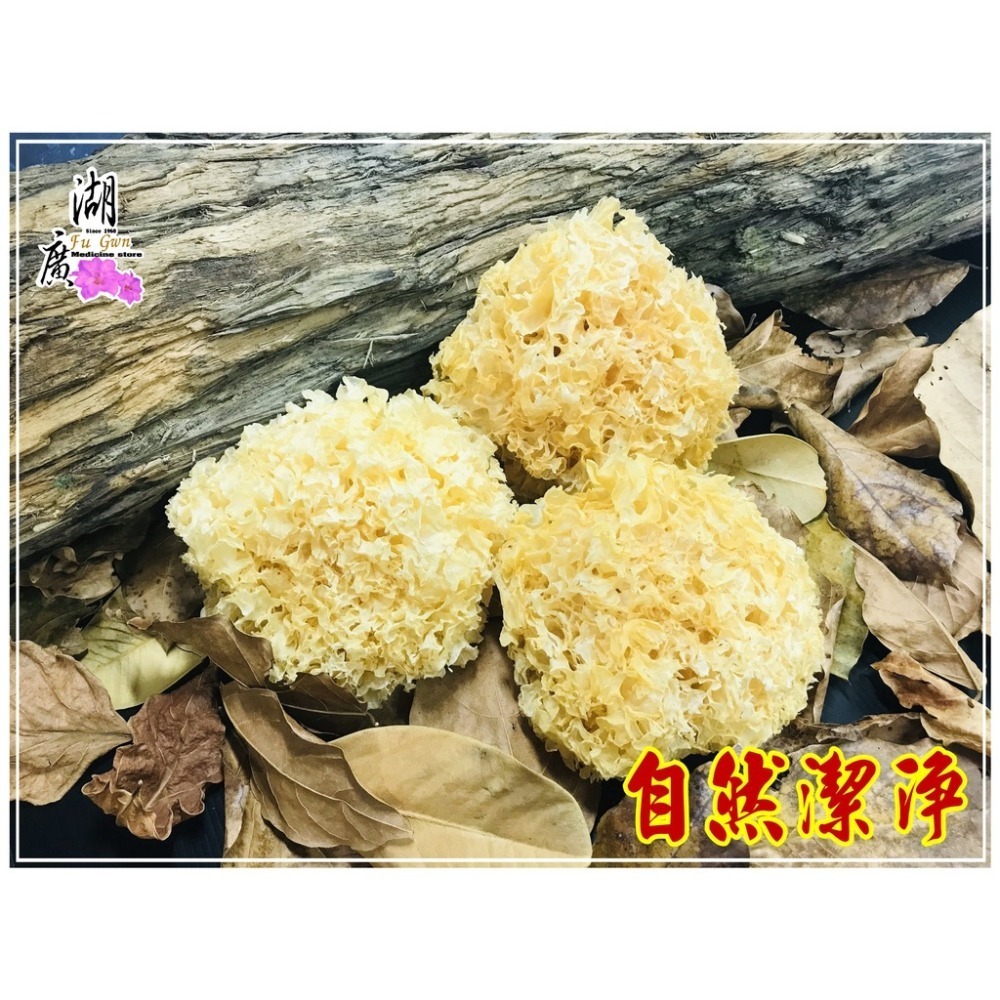 白木耳  【台灣檢驗合格白木耳】原木生 白木耳  椴木白木耳【迪化街門市火速出貨】-細節圖5
