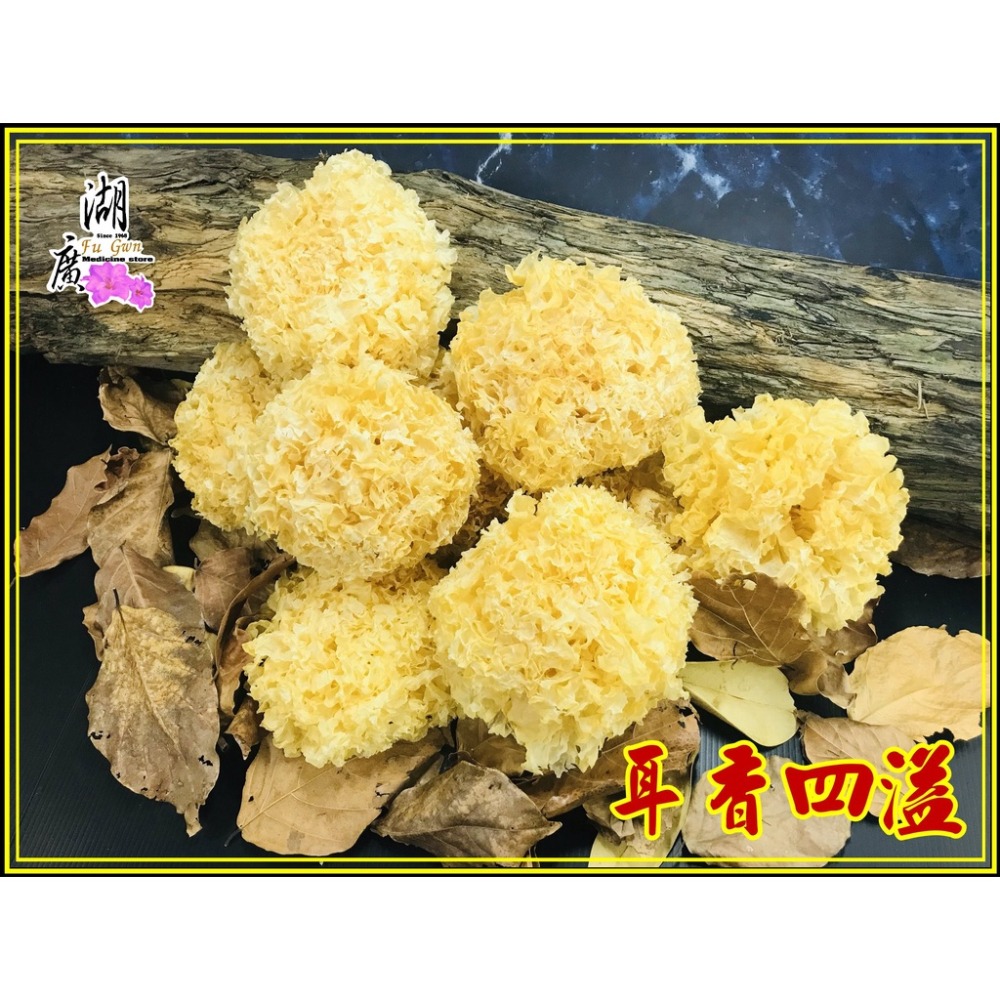 白木耳  【台灣檢驗合格白木耳】原木生 白木耳  椴木白木耳【迪化街門市火速出貨】-細節圖9