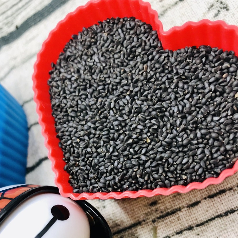 羅勒子 蘭香子 明列籽 小紫蘇 【迪化街門市火速出貨】-細節圖3