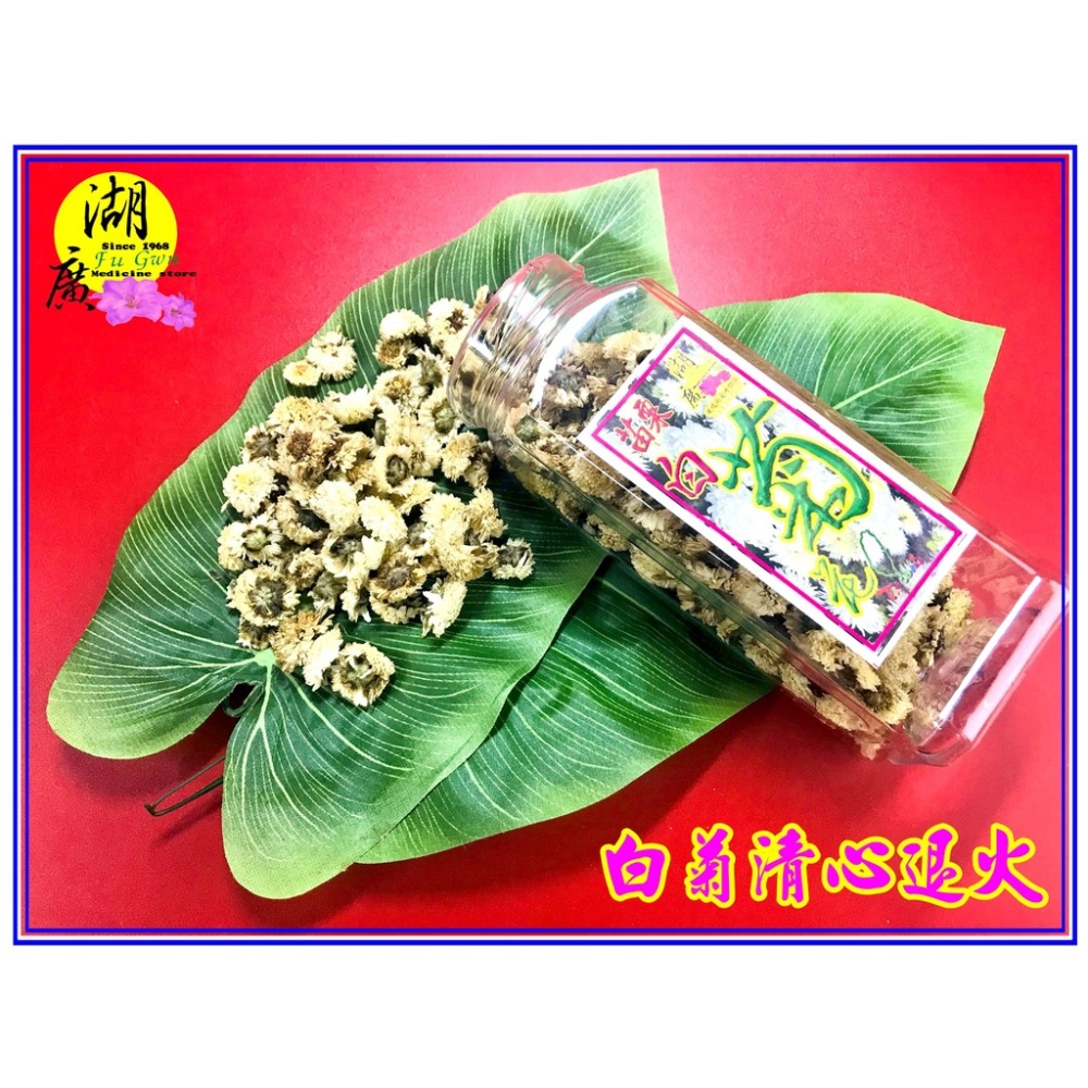 白菊花-黃菊花台灣苗栗-銅鑼產【迪化街門市火速出貨】-細節圖2