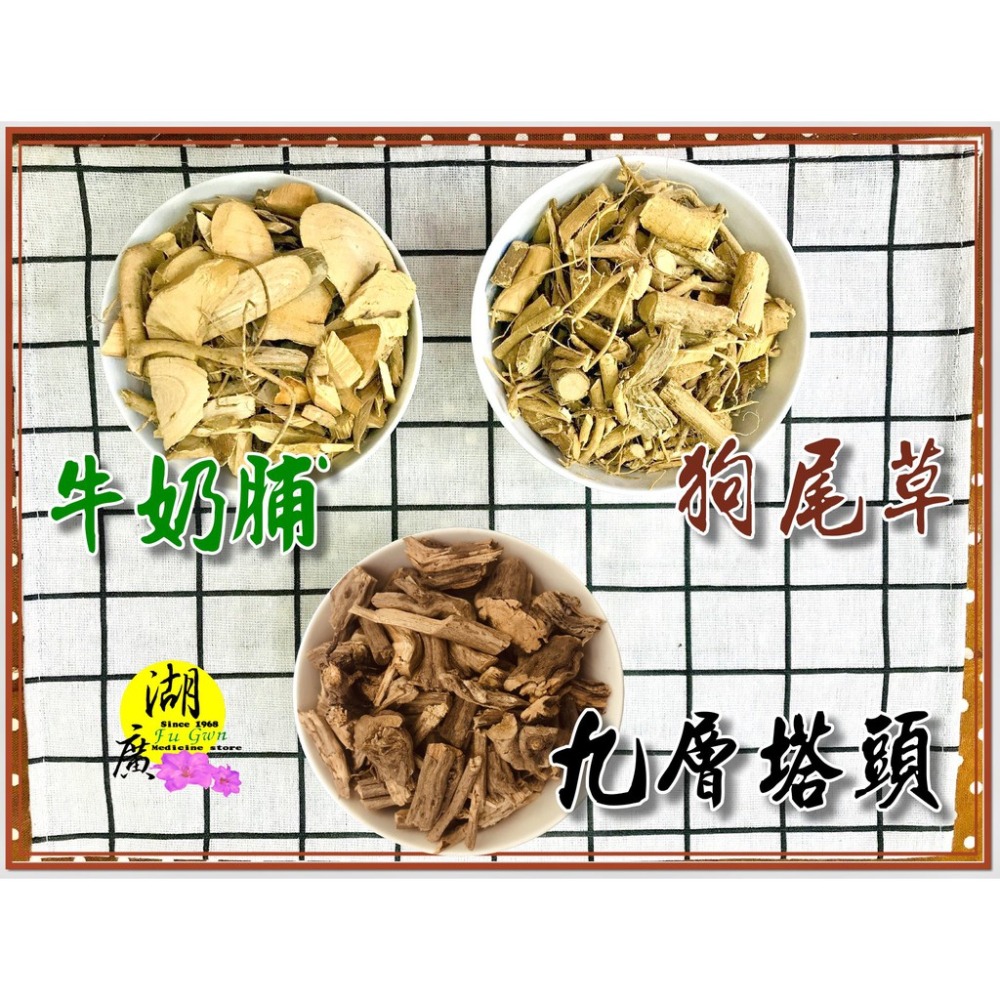 九層塔頭 雲林紅骨九層塔頭 【迪化街門市火速出貨】-細節圖2