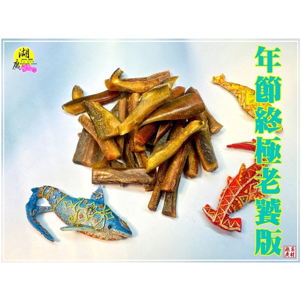 鯊魚皮 特級鯊魚皮 全膠質 爆滿  特厚獨家販售 鯊魚皮【迪化街門市火速出貨】-細節圖2