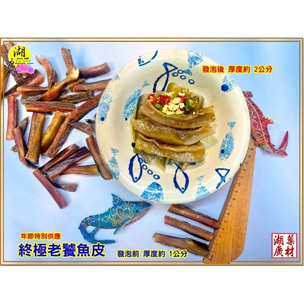 鯊魚皮 特級鯊魚皮 全膠質 爆滿  特厚獨家販售 鯊魚皮【迪化街門市火速出貨】-細節圖3