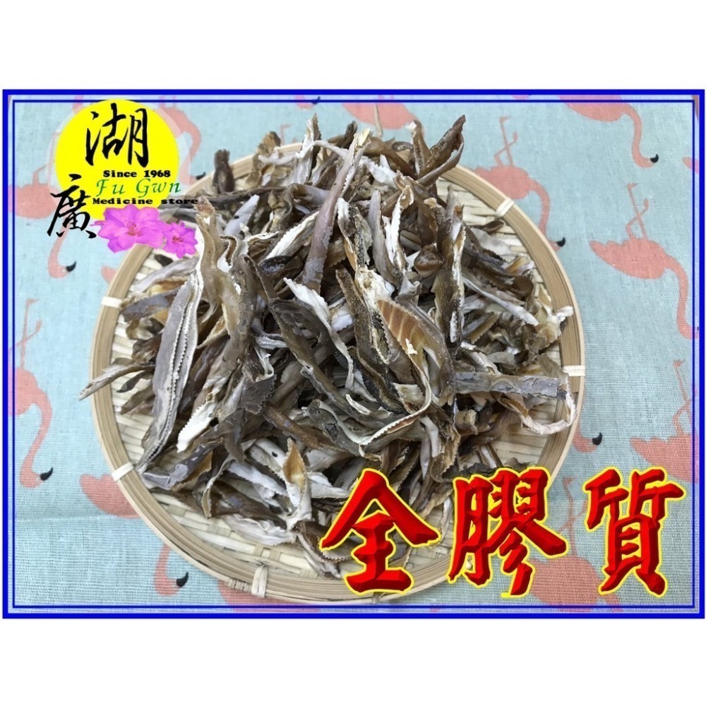 鯊魚皮 特級鯊魚皮 全膠質 爆滿  特厚獨家販售 鯊魚皮【迪化街門市火速出貨】-細節圖4