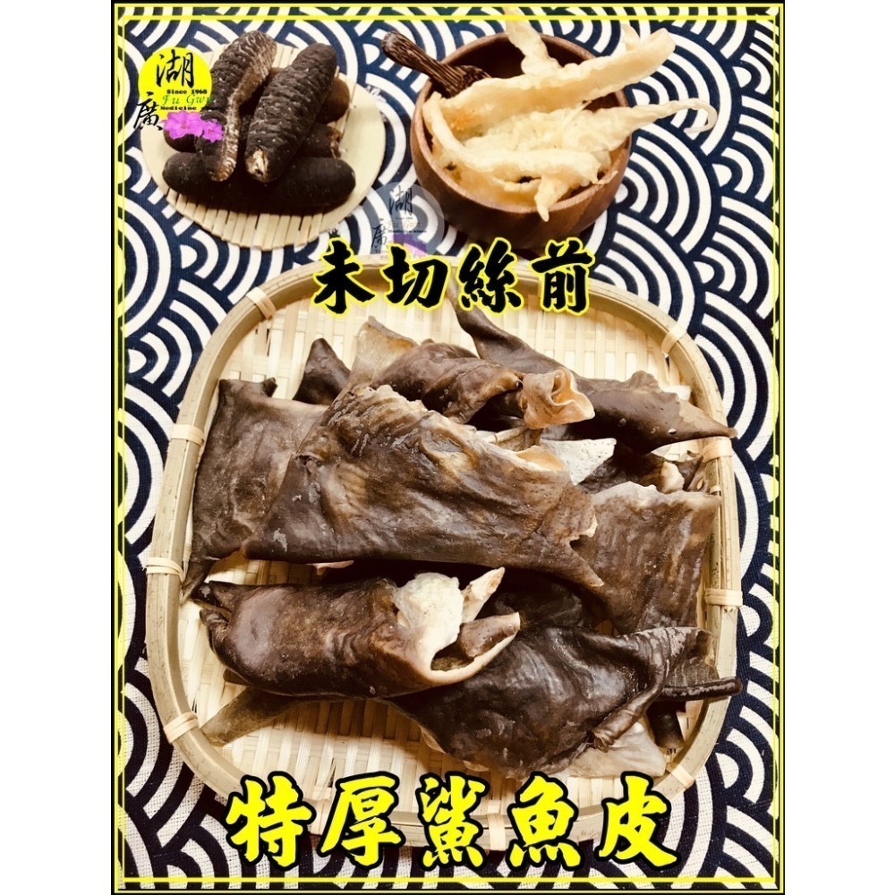 鯊魚皮 特級鯊魚皮 全膠質 爆滿  特厚獨家販售 鯊魚皮【迪化街門市火速出貨】-細節圖9