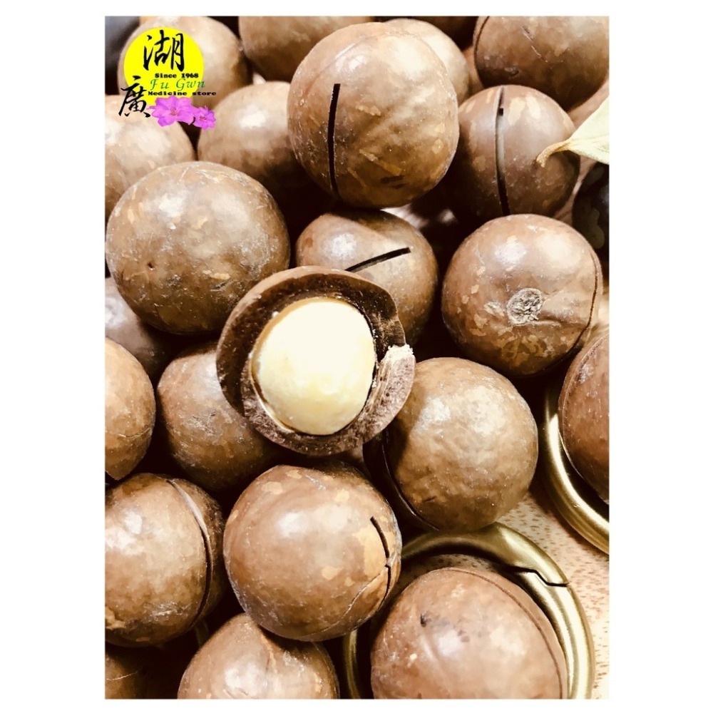 烘焙夏威夷果-帶殼夏威夷果-火山豆-帶殼火山豆-帶殼夏威夷豆【迪化街門市火速出貨】-細節圖2