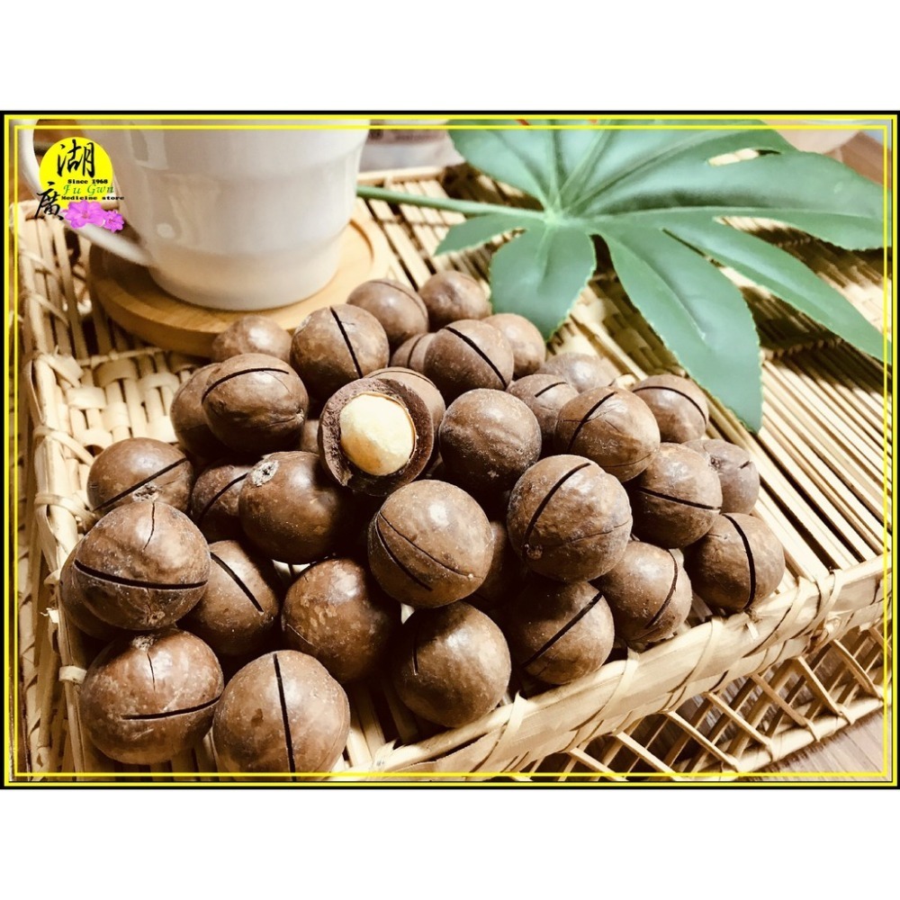 烘焙夏威夷果-帶殼夏威夷果-火山豆-帶殼火山豆-帶殼夏威夷豆【迪化街門市火速出貨】-細節圖3