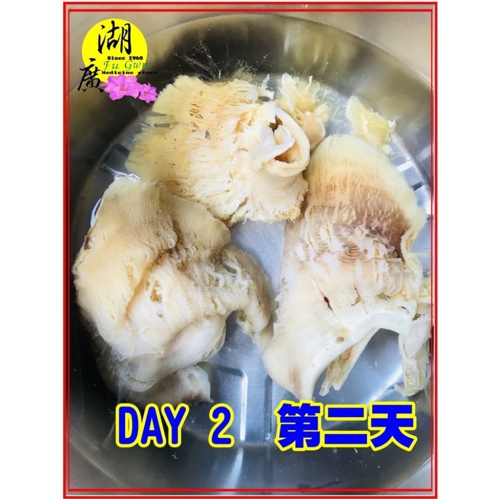 魚翅 黑鯊勾 金山勾 天九翅 中鰭翅 乾魚翅 【火速出貨】迪化街一段74號-細節圖4
