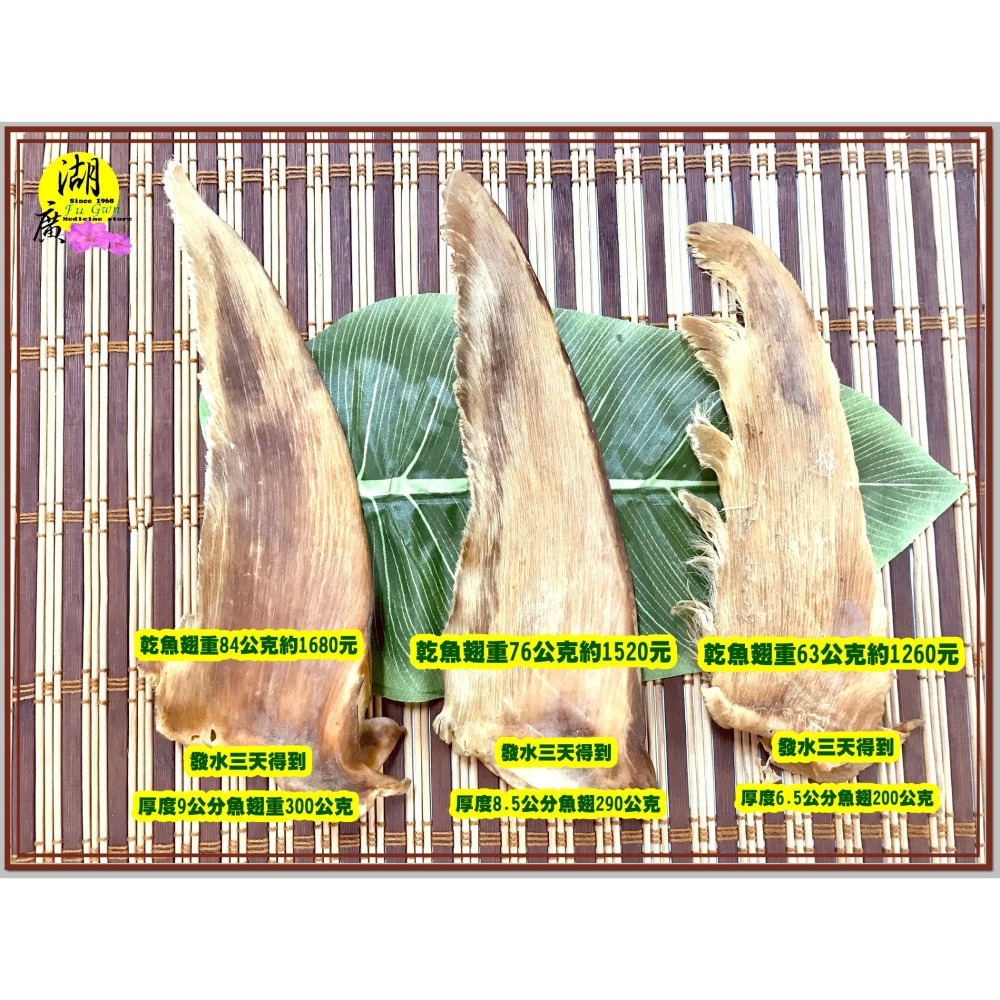 魚翅 黑鯊勾 金山勾 天九翅 中鰭翅 乾魚翅 【火速出貨】迪化街一段74號-細節圖7