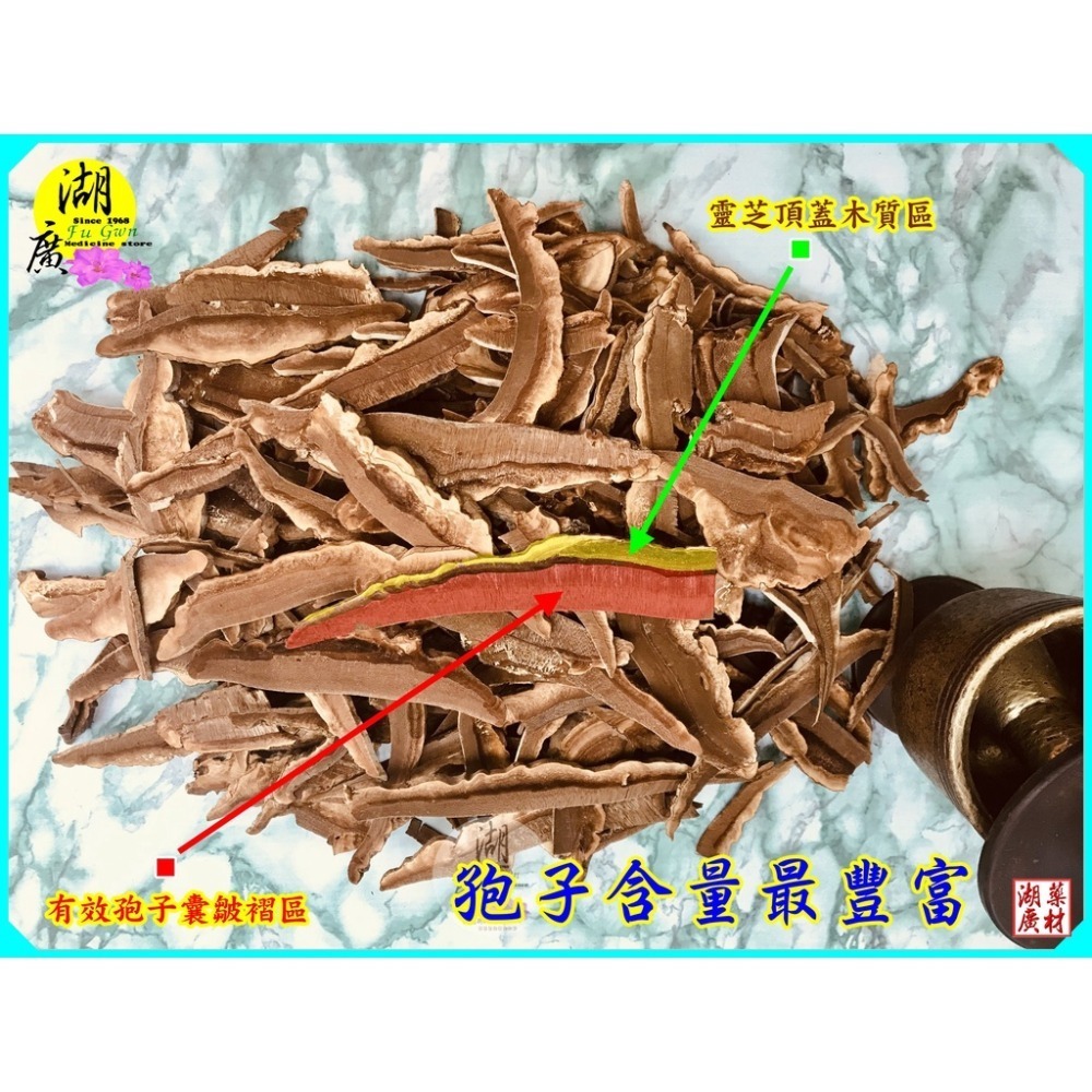 靈芝片-赤木靈芝切片【食品】300公克【迪化街門市火速出貨】-細節圖3