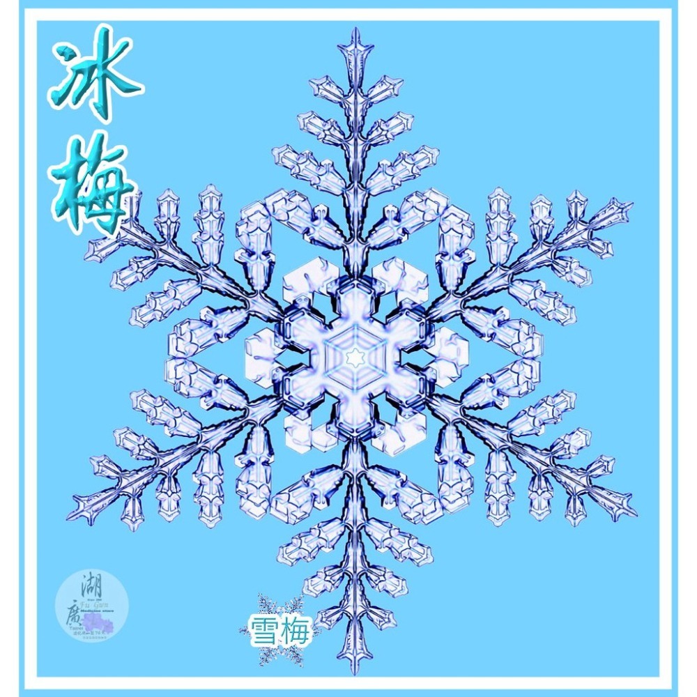 冰梅-無籽冰梅-玉潔冰心的梅子-冰冰涼涼酸梅【迪化街門市火速出貨】-細節圖4