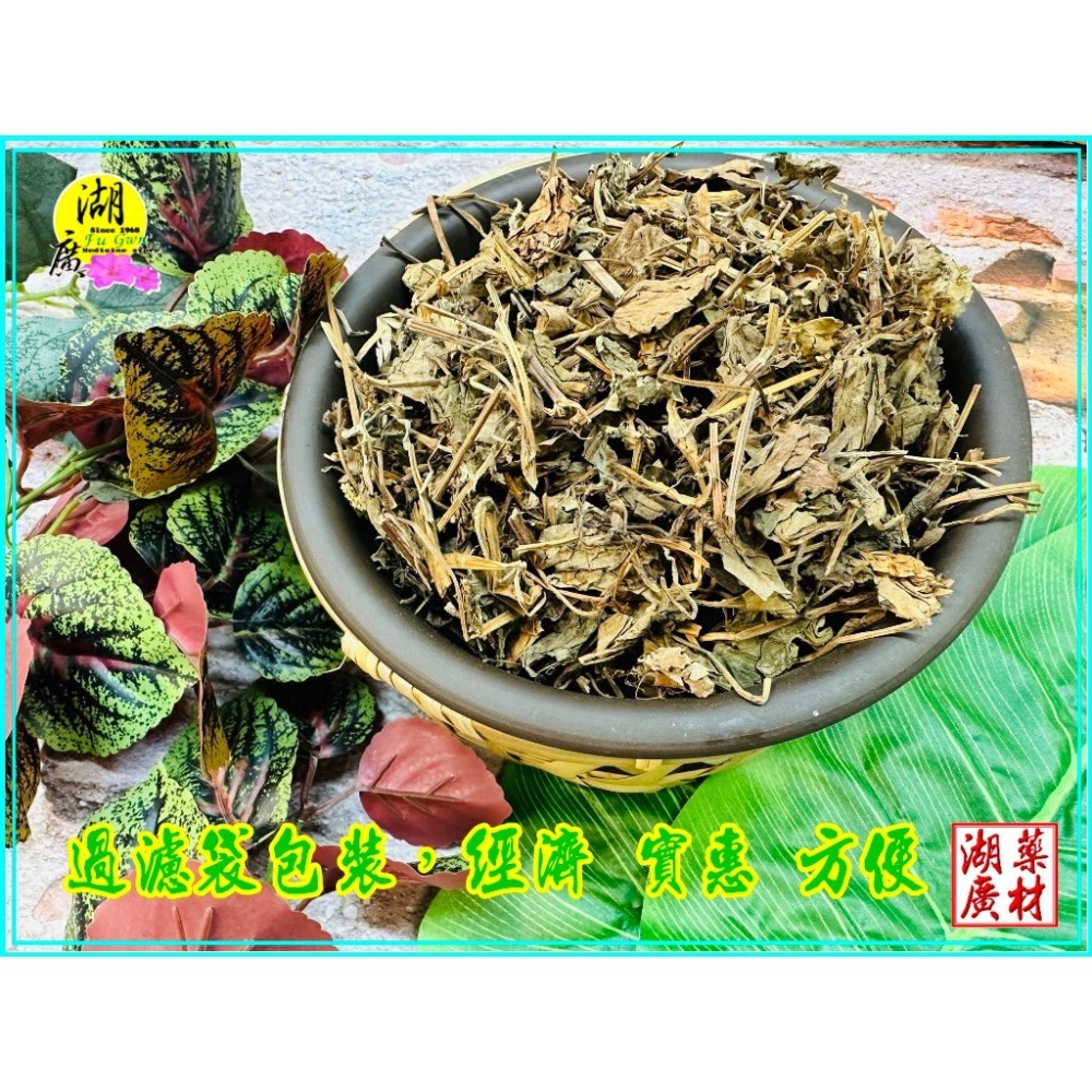 魚腥草 魚腥草茶包 青草茶  薄荷桑葉魚腥草茶 非常世紀適合經常飲用  清涼好喝   魚腥草茶-細節圖5