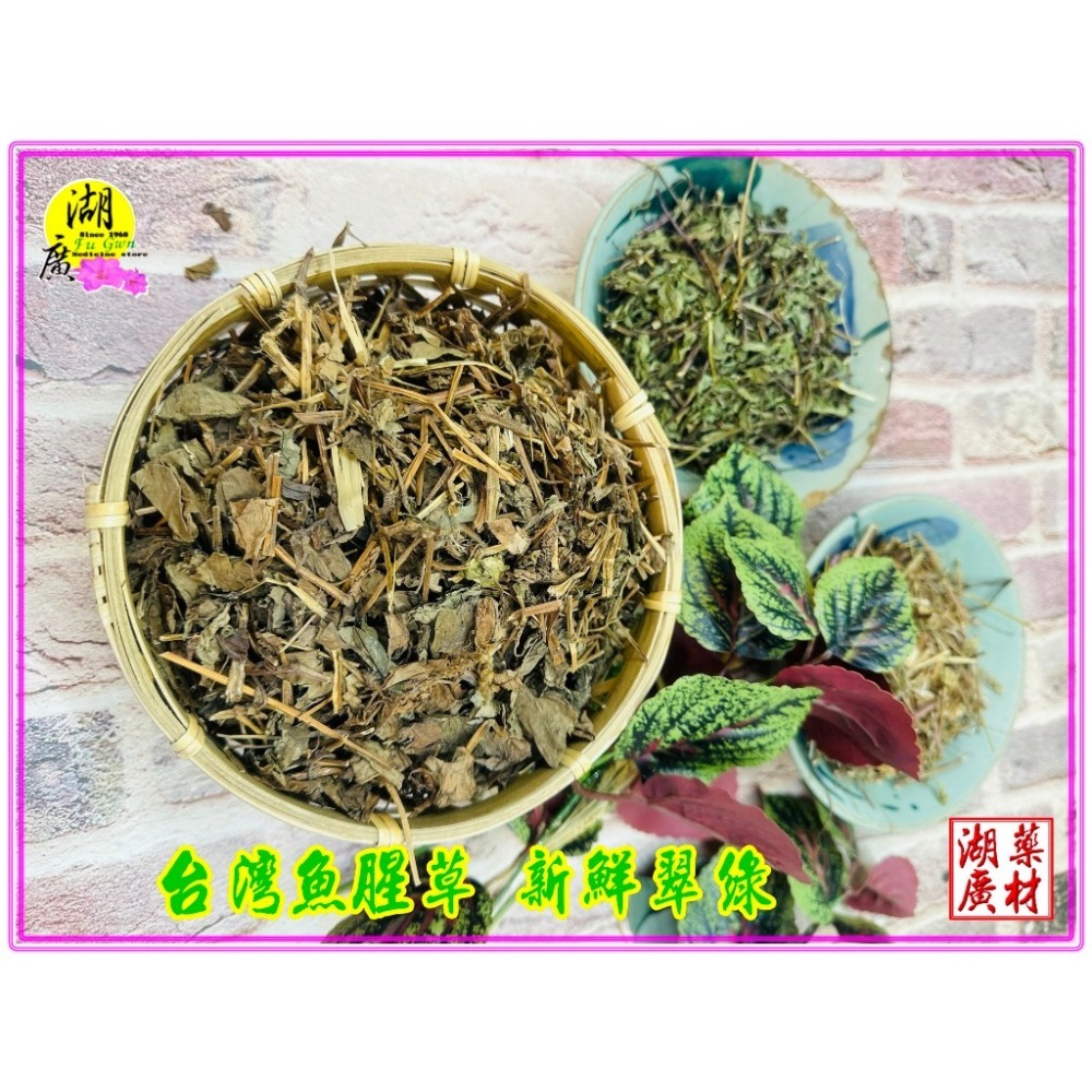 魚腥草 魚腥草茶包 青草茶  薄荷桑葉魚腥草茶 非常世紀適合經常飲用  清涼好喝   魚腥草茶-細節圖8