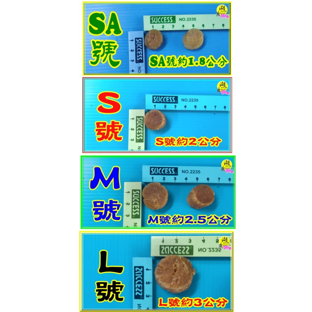 日本干貝 北海道干貝 瑤柱 原裝進口【迪化街門市火速出貨】-細節圖3