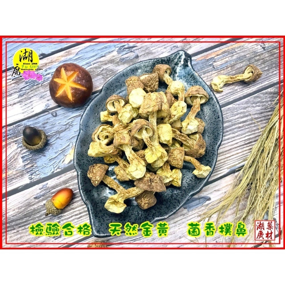 巴西蘑菇【台灣SGS檢驗合格】 姬松茸 【迪化街門市火速出貨】-細節圖2