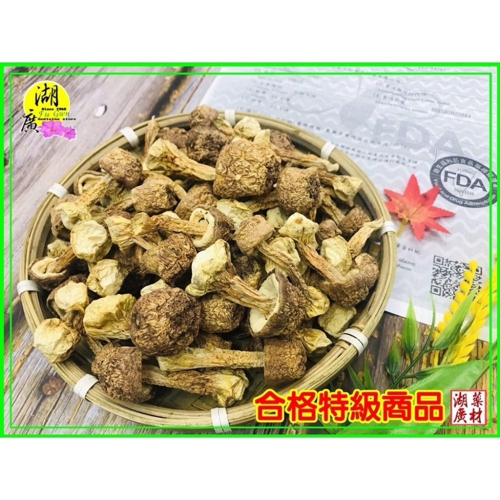 巴西蘑菇【台灣SGS檢驗合格】 姬松茸 【迪化街門市火速出貨】-細節圖4
