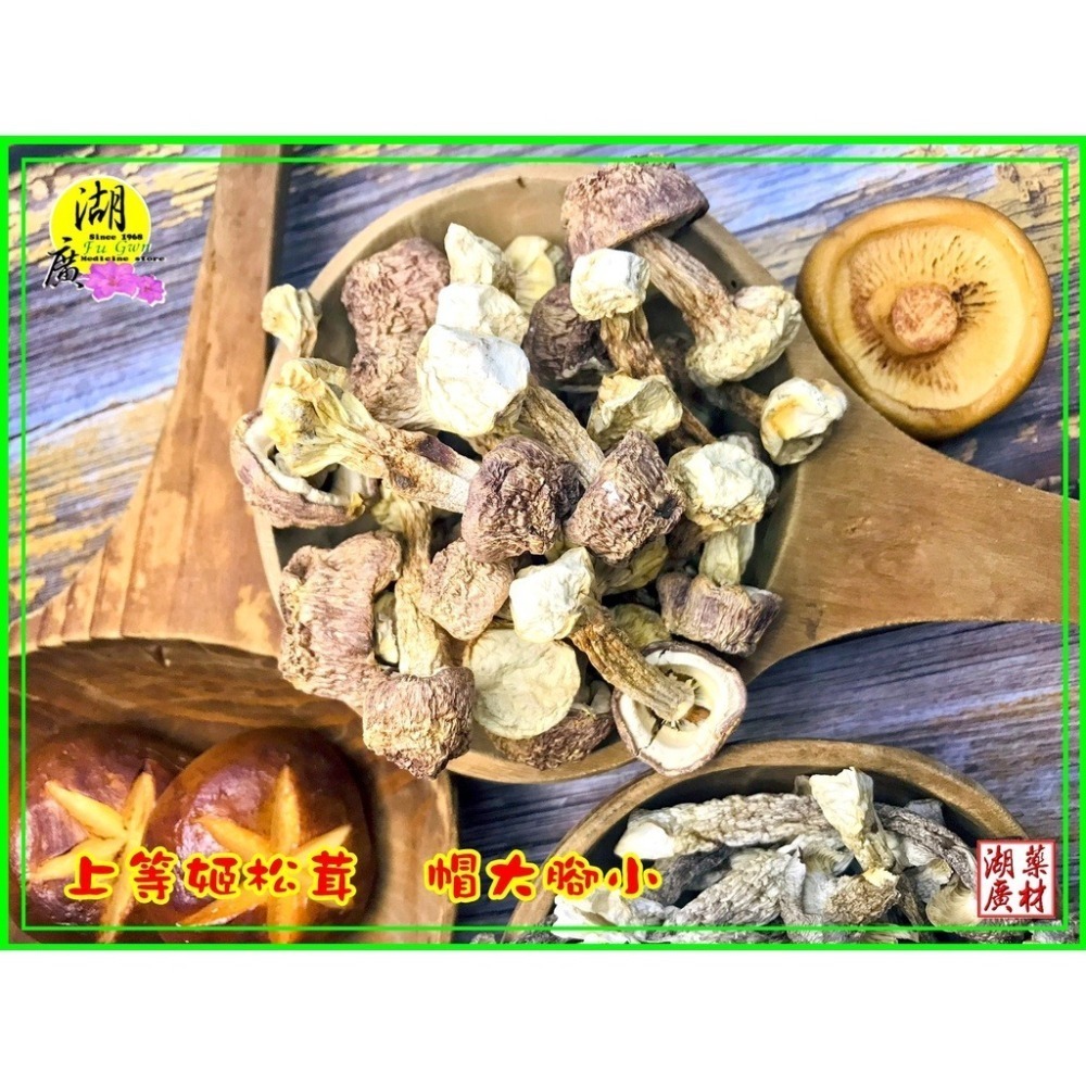 巴西蘑菇【台灣SGS檢驗合格】 姬松茸 【迪化街門市火速出貨】-細節圖8