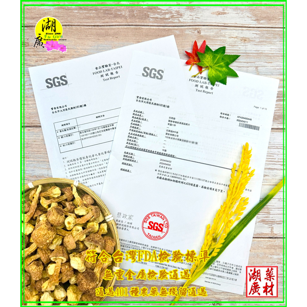 巴西蘑菇【台灣SGS檢驗合格】 姬松茸 【迪化街門市火速出貨】-細節圖9