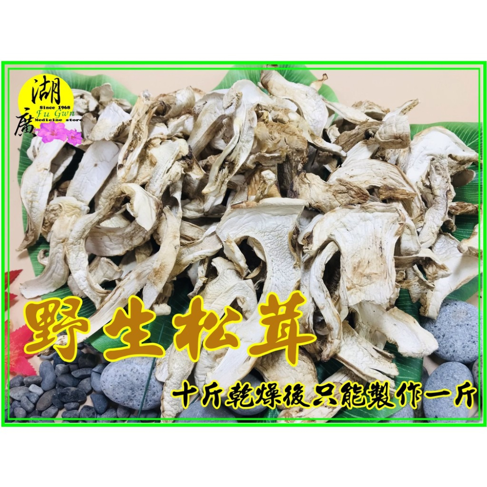 松茸 野生松茸片 以及 養殖松茸片  香格里拉松茸片 松菌 松口菌/一包100公克【啟陞食品】湖廣藥材 迪化街一段74號-細節圖2