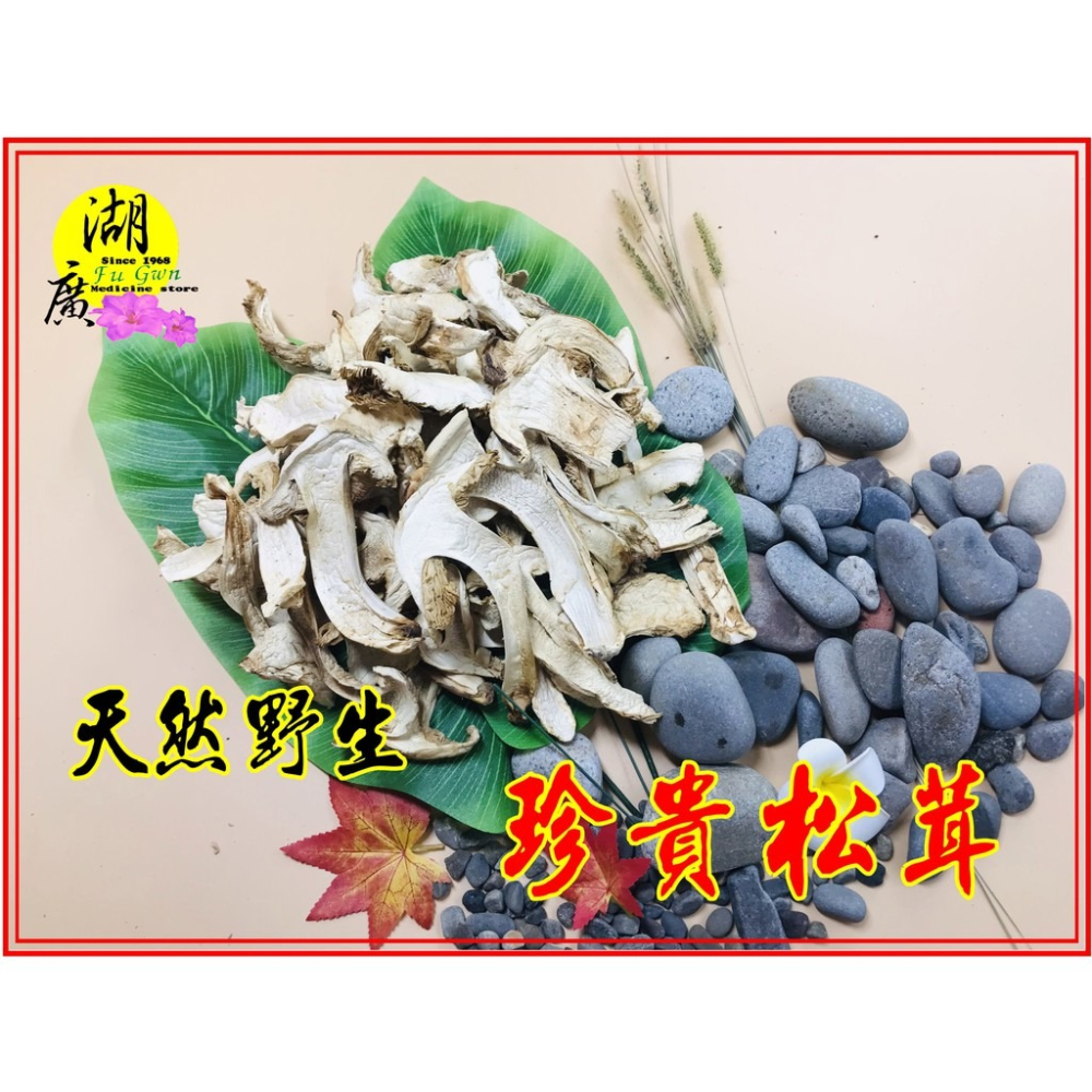松茸 野生松茸片 以及 養殖松茸片  香格里拉松茸片 松菌 松口菌/一包100公克【啟陞食品】湖廣藥材 迪化街一段74號-細節圖3