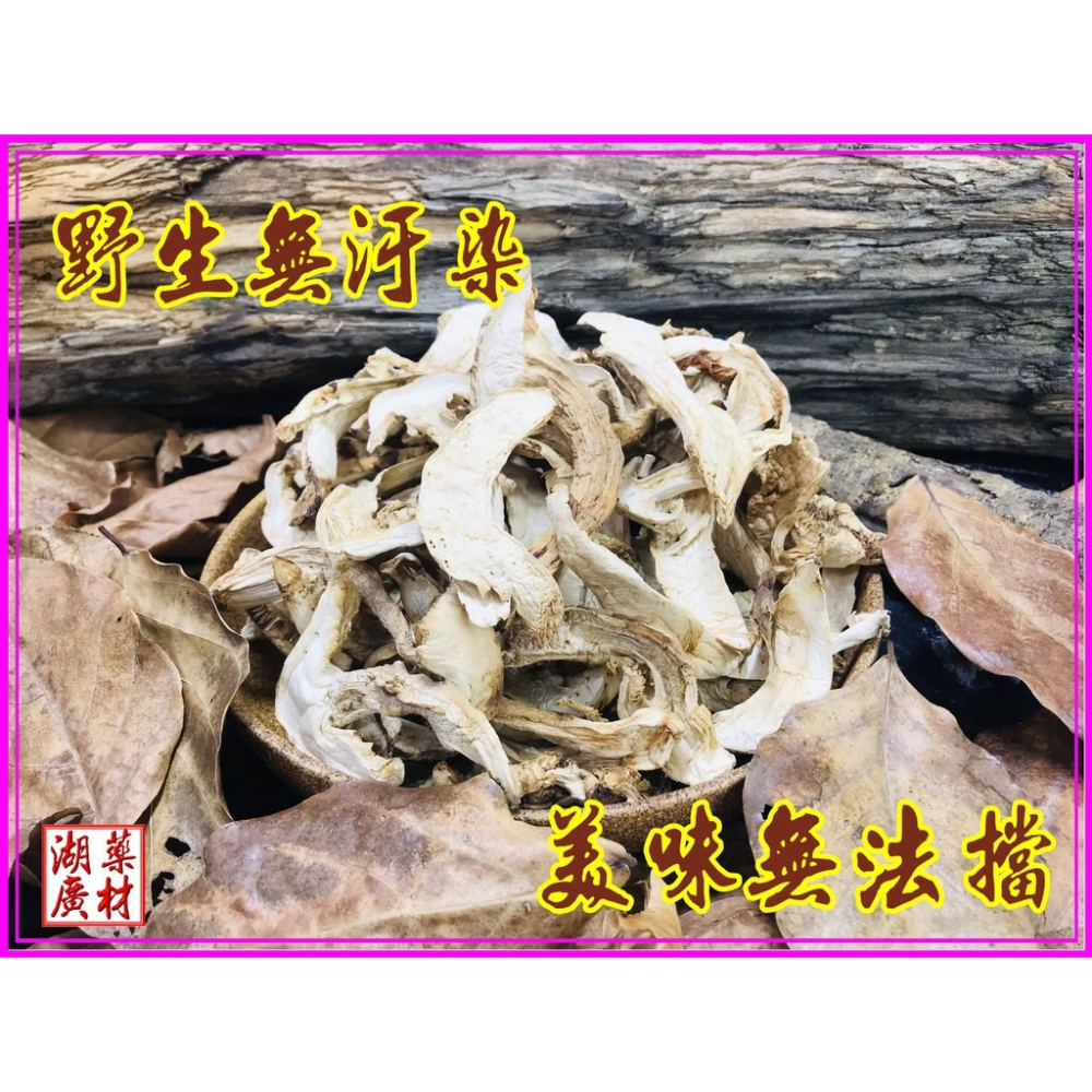松茸 野生松茸片 以及 養殖松茸片  香格里拉松茸片 松菌 松口菌/一包100公克【啟陞食品】湖廣藥材 迪化街一段74號-細節圖4