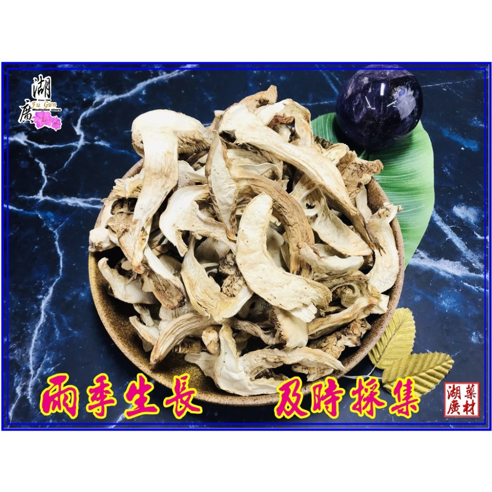松茸 野生松茸片 以及 養殖松茸片  香格里拉松茸片 松菌 松口菌/一包100公克【啟陞食品】湖廣藥材 迪化街一段74號-細節圖7