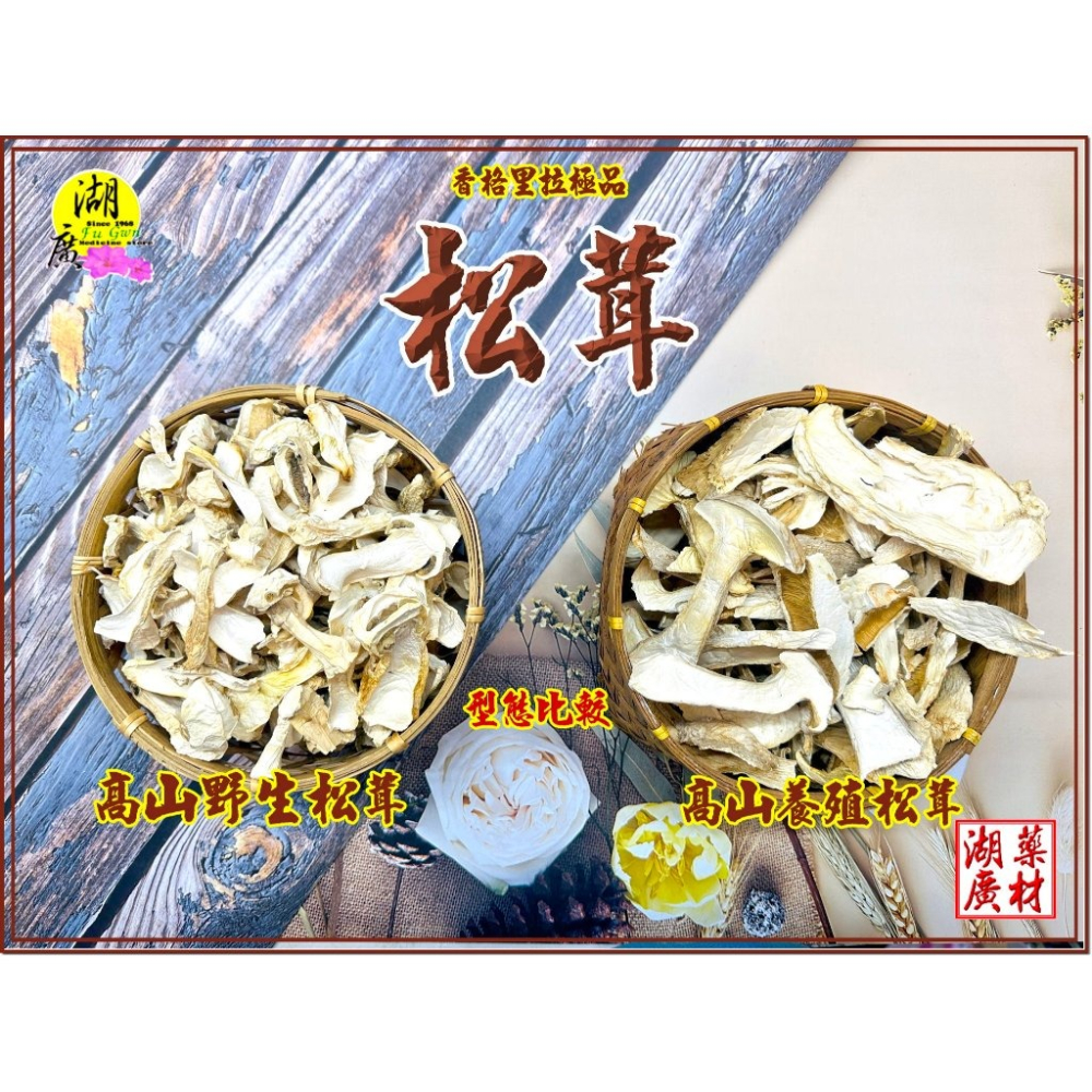松茸 野生松茸片 以及 養殖松茸片  香格里拉松茸片 松菌 松口菌/一包100公克【啟陞食品】湖廣藥材 迪化街一段74號-細節圖9
