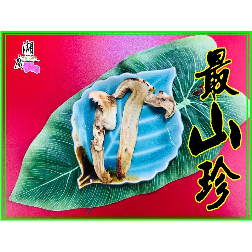 松茸 野生松茸片 以及 養殖松茸片  香格里拉松茸片 松菌 松口菌/一包100公克【啟陞食品】湖廣藥材 迪化街一段74號-規格圖11