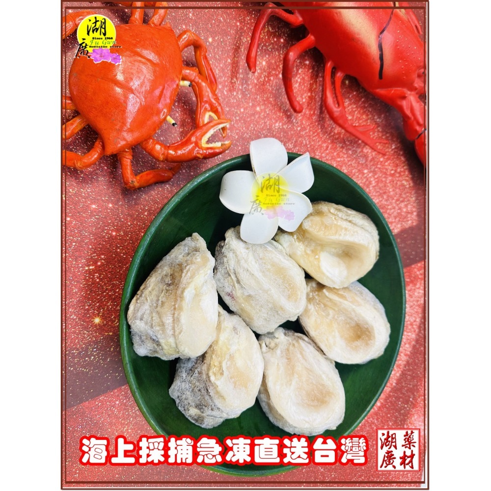 冷凍 鮑魚 鮑魚貝 智利鮑魚貝 野生急凍 生鮮美味 空運直達 保證鮮美 炙燒 快炒 火鍋 LOCOS 鮑貝  啟陞&湖廣-細節圖7