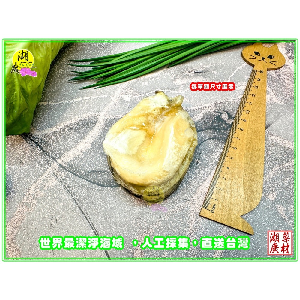 冷凍 鮑魚 鮑魚貝 智利鮑魚貝 野生急凍 生鮮美味 空運直達 保證鮮美 炙燒 快炒 火鍋 LOCOS 鮑貝  啟陞&湖廣-細節圖8