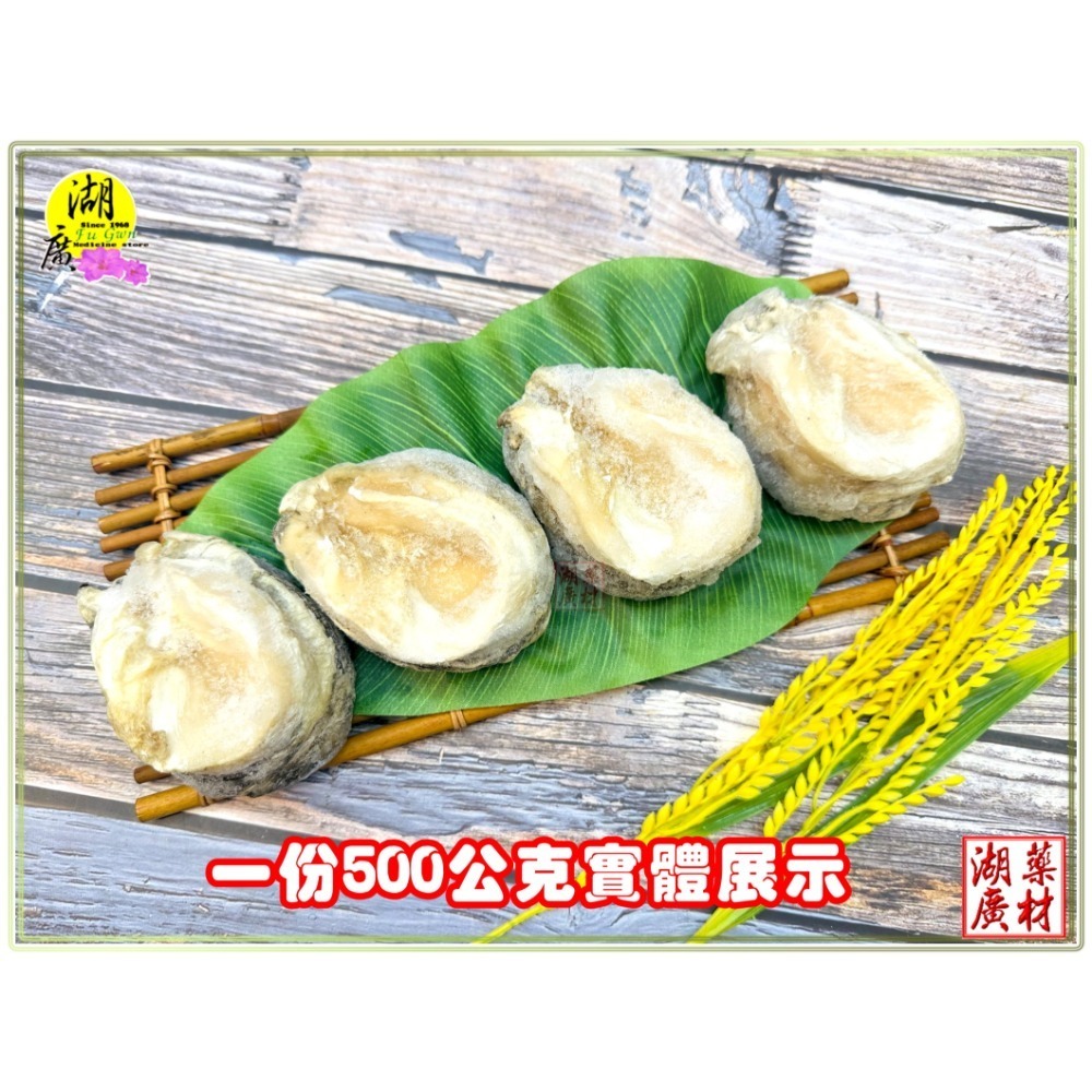 冷凍 鮑魚 鮑魚貝 智利鮑魚貝 野生急凍 生鮮美味 空運直達 保證鮮美 炙燒 快炒 火鍋 LOCOS 鮑貝  啟陞&湖廣-規格圖1