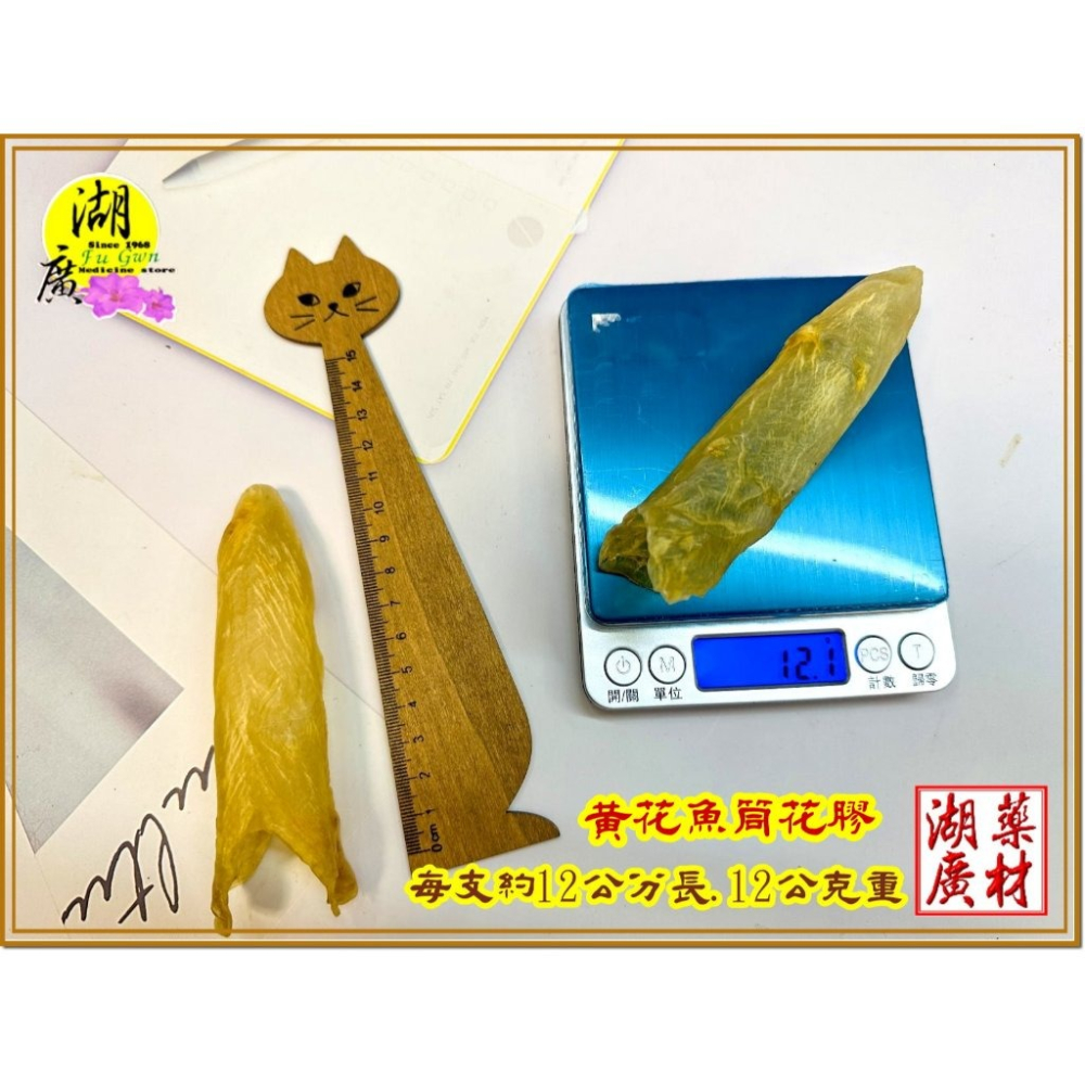 花膠 魚肚 黃魚 花膠 黃魚肚 筒膠 魚膘 深海野生 筒花膠 ( 台北迪化街門市火速出貨  02-25560870)魚肚-細節圖6