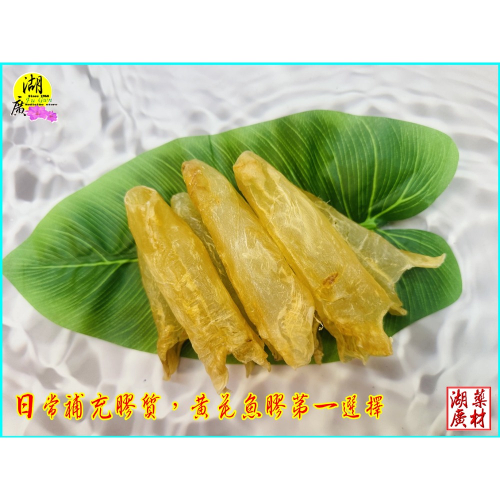 花膠 魚肚 黃魚 花膠 黃魚肚 筒膠 魚膘 深海野生 筒花膠 ( 台北迪化街門市火速出貨  02-25560870)魚肚-規格圖10