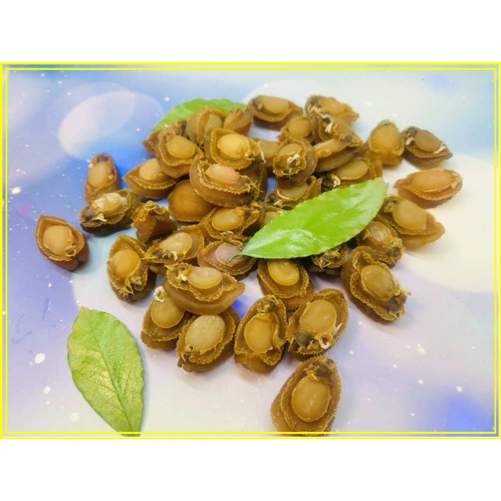 鮑魚 鮑魚乾 80頭與50頭【小量賣場】 日本工法曬製 鮮美甜 晶瑩剔透  吉品鮑 扎實 沉重 亮麗 迪化街門市火速出貨-細節圖5