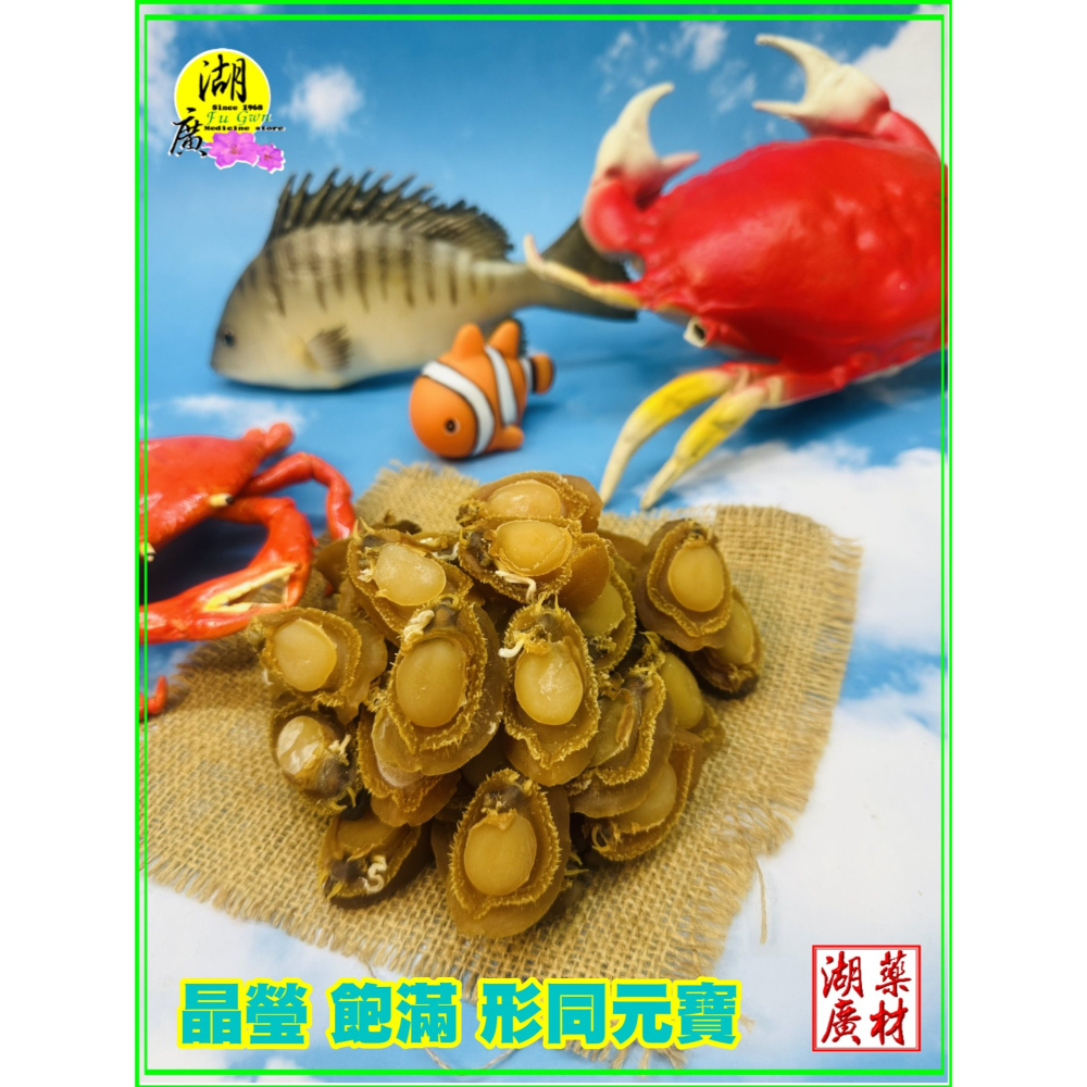 鮑魚 鮑魚乾 80頭與50頭【小量賣場】 日本工法曬製 鮮美甜 晶瑩剔透  吉品鮑 扎實 沉重 亮麗 迪化街門市火速出貨-細節圖9
