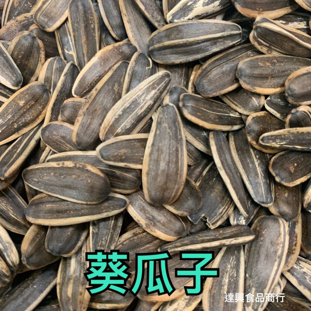 蒜味花生 九號蒜味花生 開心果 養生果仁 白瓜子 甘草瓜子 葵瓜子 五香瓜子 喝茶 下酒 野露營 滿額免運 達興食品-細節圖9