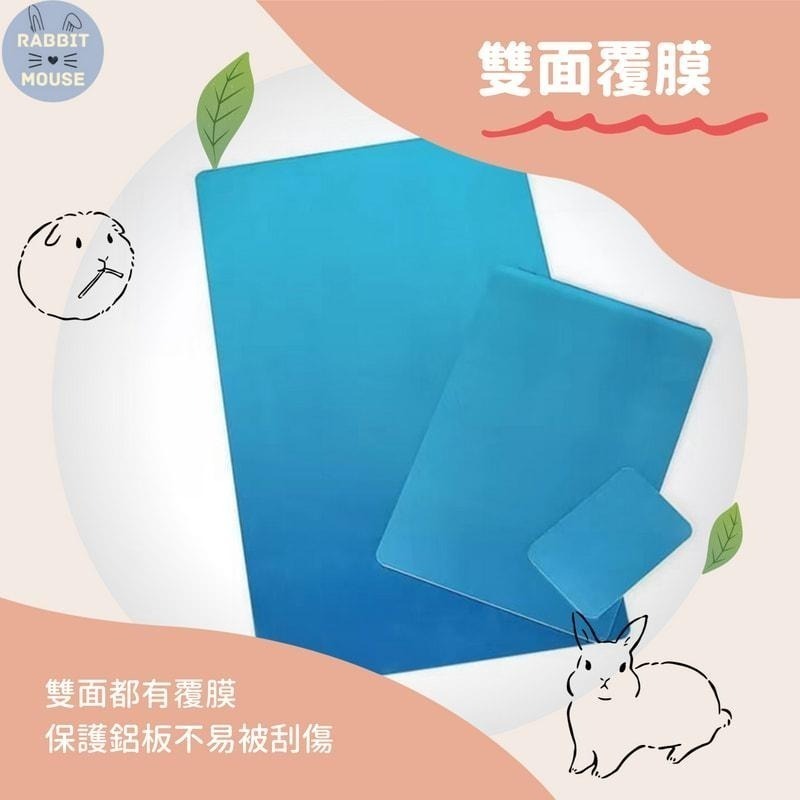 『現貨』小動物散熱板 小寵降溫板 降溫板 散熱板 降溫鋁板 小動物 降溫消暑 涼墊 散熱墊 小寵兔子龍貓倉鼠涼墊-細節圖3
