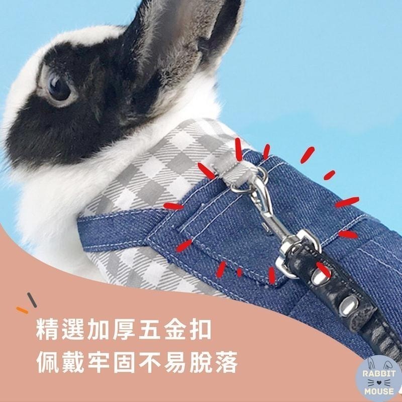 『現貨』兔子牽繩 兔子衣服 兔子外出 兔子牽引繩 兔子牽繩衣 兔子背帶 兔子用品 兔子胸背 寵物牽引繩 溜兔繩-細節圖4