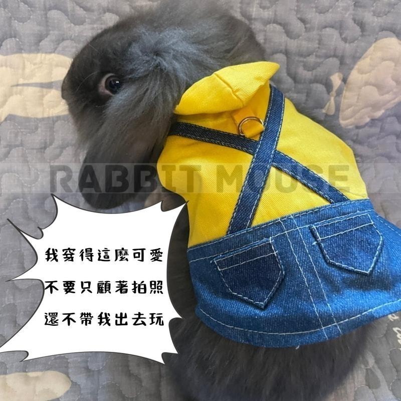 『現貨』兔子牽繩 兔子衣服 兔子外出 兔子牽引繩 兔子牽繩衣 兔子背帶 兔子用品 兔子胸背 寵物牽引繩 溜兔繩-細節圖6