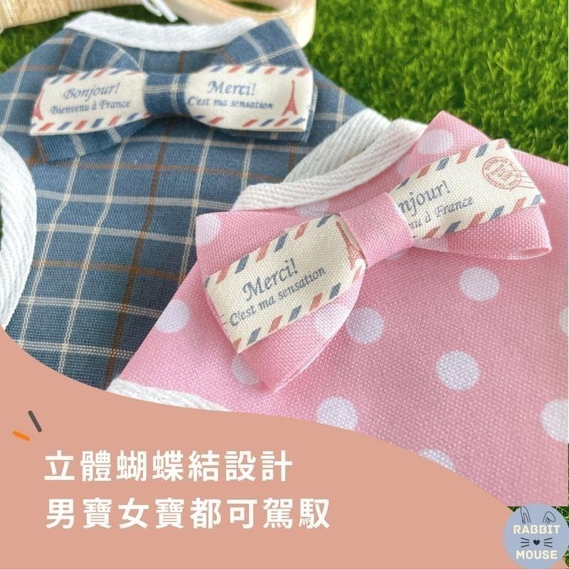 『現貨』兔子牽引繩 兔子牽繩 夏季背心 兔子外出 防咬掙脫鍊子 兔子外出專用 兔子用品 寵物牽引繩 溜兔繩 可調節-細節圖4