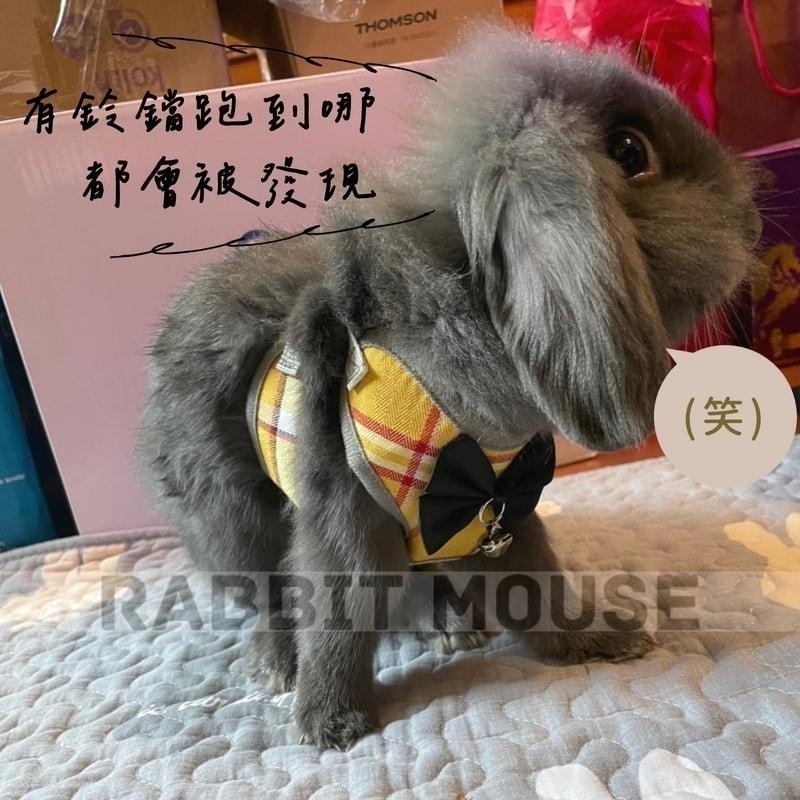 『現貨』兔子牽引繩 兔子牽繩 夏季背心 兔子外出 防咬掙脫鍊子 兔子外出專用 兔子用品 寵物牽引繩 溜兔繩 可調節-細節圖6