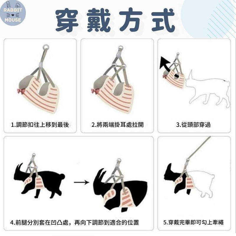 『現貨』兔子牽引繩 兔子牽繩 夏季背心 兔子外出 防咬掙脫鍊子 兔子外出專用 兔子用品 寵物牽引繩 溜兔繩 可調節-細節圖9