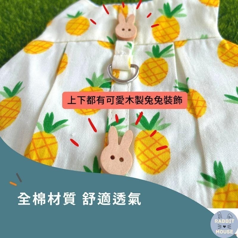 『現貨』兔子牽繩 兔子衣服 兔子外出 兔子 牽繩 牽繩兔子 兔子牽引繩 兔子牽繩衣 兔子洋裝 兔子牽繩衣 兔兔外出-細節圖2