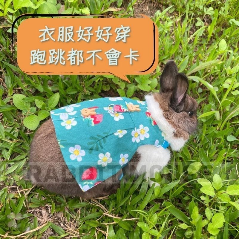 『現貨』兔子牽繩 兔子衣服 兔子外出 兔子 牽繩 牽繩兔子 兔子牽引繩 兔子牽繩衣 兔子洋裝 兔子牽繩衣 兔兔外出-細節圖6