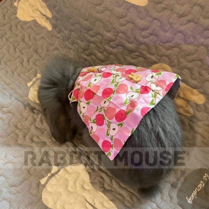 『現貨』兔子牽繩 兔子衣服 兔子外出 兔子 牽繩 牽繩兔子 兔子牽引繩 兔子牽繩衣 兔子洋裝 兔子牽繩衣 兔兔外出-細節圖7