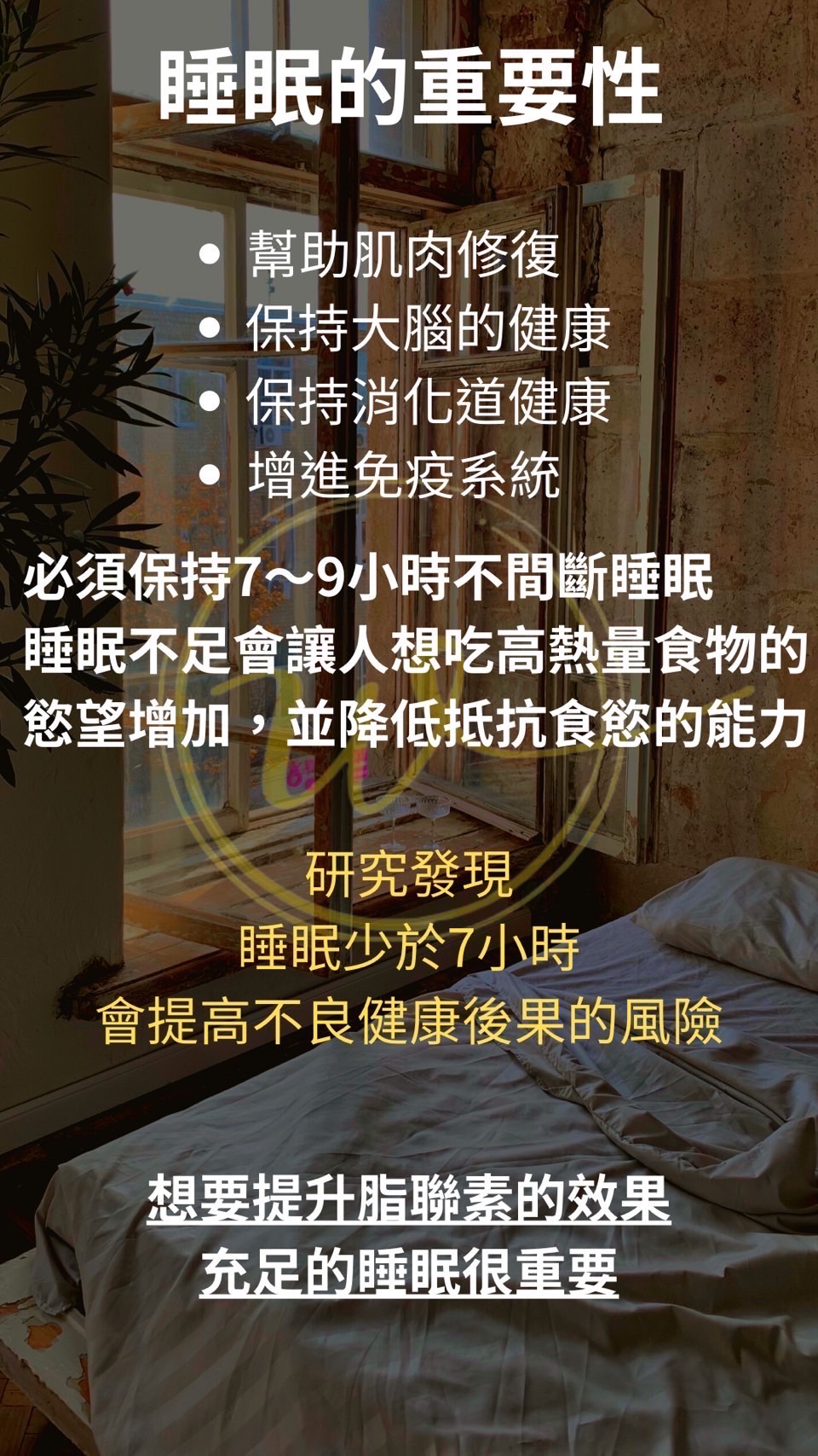 SO身咖啡-細節圖3
